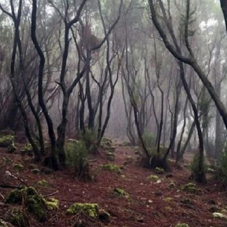La Casita De Descanso - Das Haeuschen Der Ruhe - La Luz - Ля Оротава Экстерьер фото